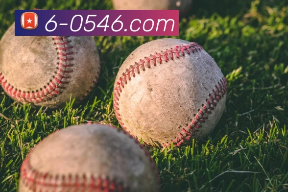 开云官方登陆入口平台生态图