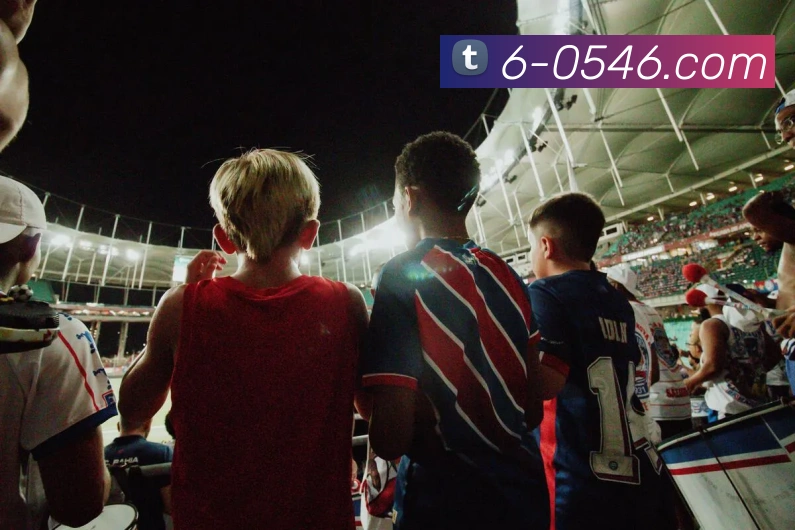 开云官方登陆入口APP 封面图